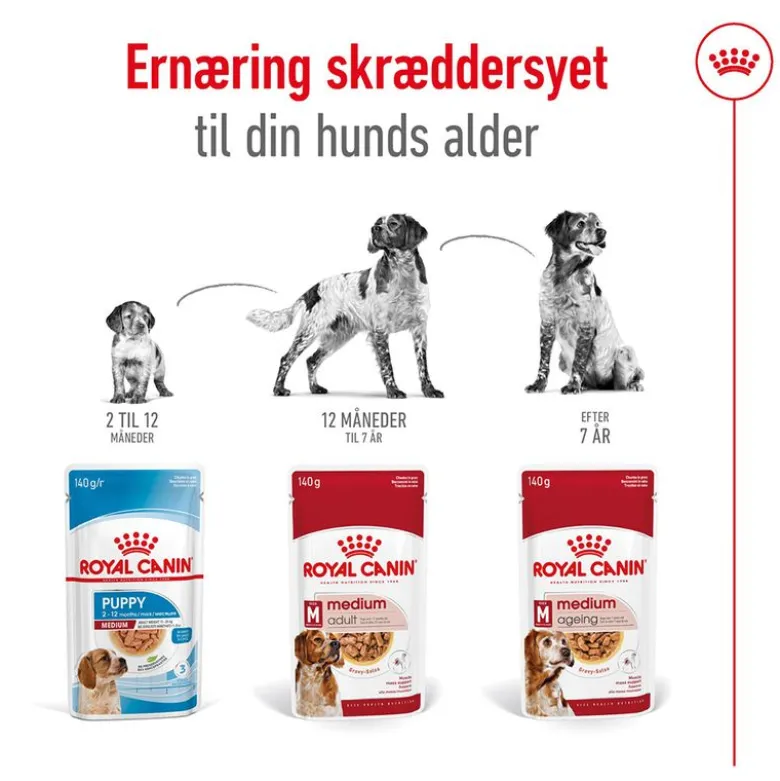 Royal Canin Medium Ageing i sauce