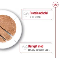 Royal Canin Medium Ageing Mousse