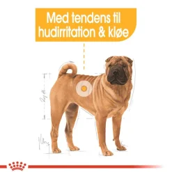 Royal Canin Medium Dermacomfort