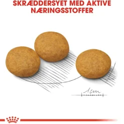 Royal Canin Medium Dermacomfort