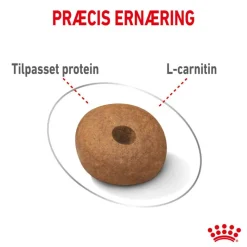 Royal Canin Medium Light Weight Care