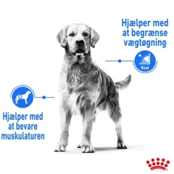 Royal Canin Medium Light Weight Care