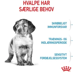 Royal Canin Medium Puppy