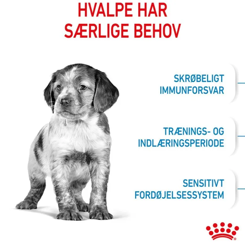 Royal Canin Medium Puppy