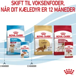 Royal Canin Medium Puppy i sauce