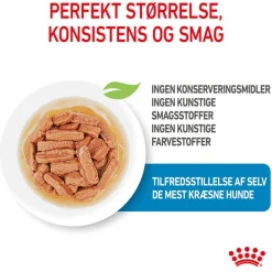 Royal Canin Medium Puppy i sauce