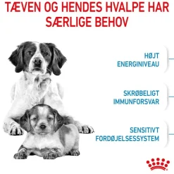 Royal Canin Medium Starter Mother & Babydog