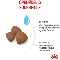 Royal Canin Medium Starter Mother & Babydog