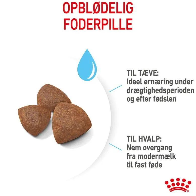 Royal Canin Medium Starter Mother & Babydog