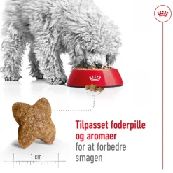 Royal Canin Mini Adult