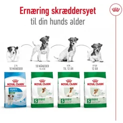 Royal Canin Mini Adult