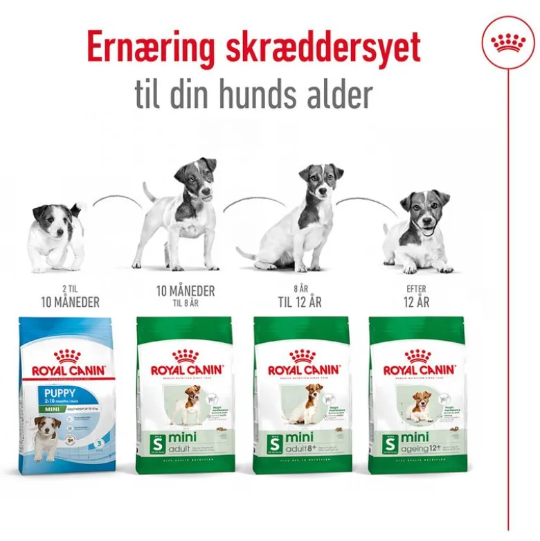 Royal Canin Mini Adult