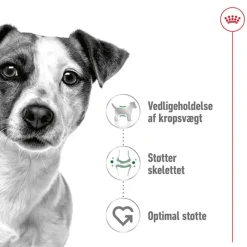Royal Canin Mini Adult