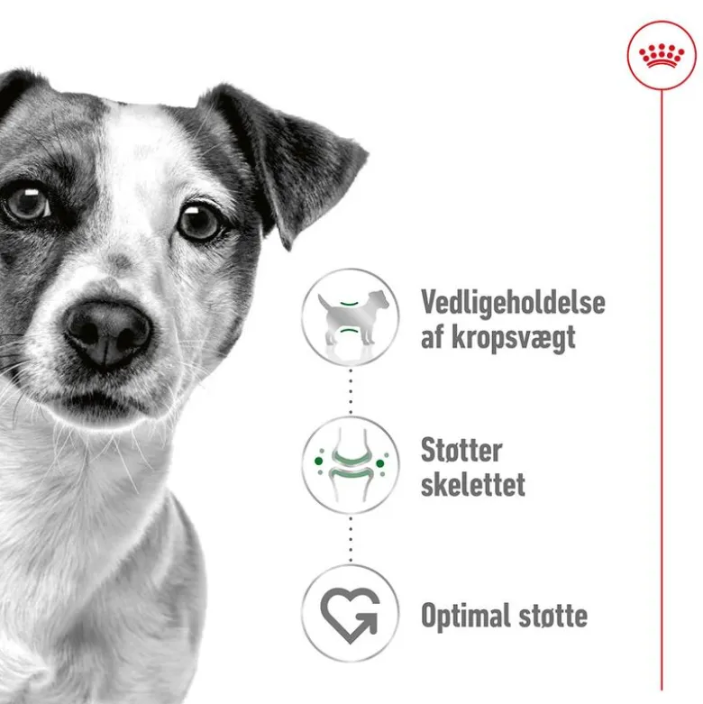 Royal Canin Mini Adult
