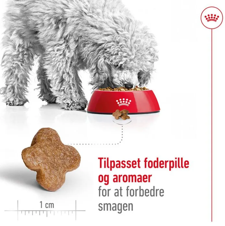 Royal Canin Mini Adult 8+