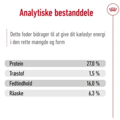 Royal Canin Mini Adult 8+
