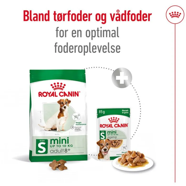Royal Canin Mini Adult 8+