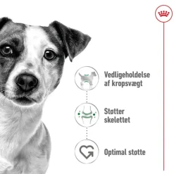 Royal Canin Mini Adult i sauce