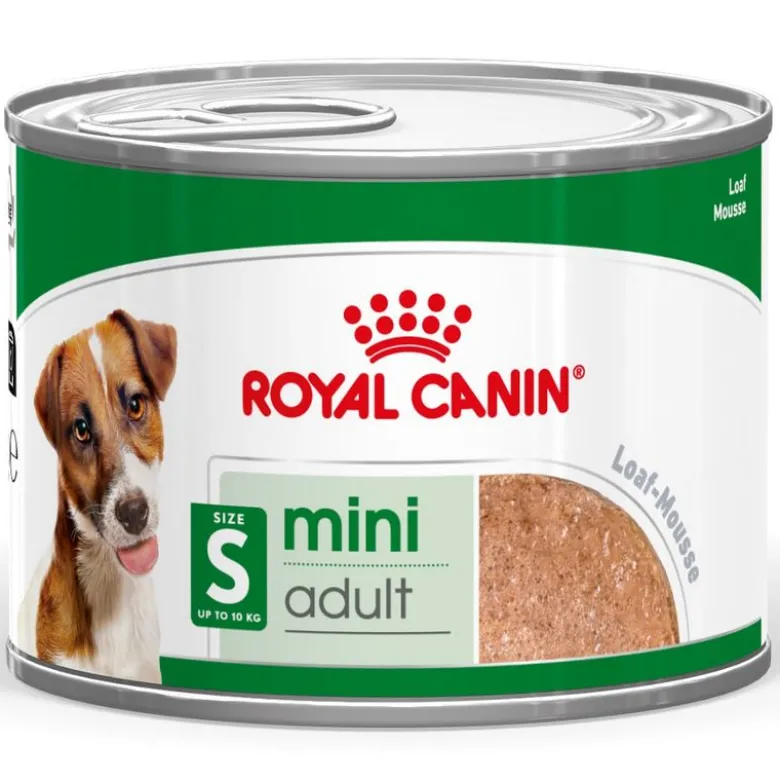 Royal Canin Mini Adult Mousse