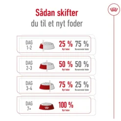 Royal Canin Mini Ageing 12+