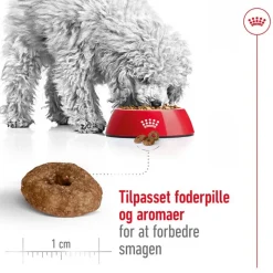 Royal Canin Mini Ageing 12+