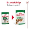Royal Canin Mini Ageing i sauce