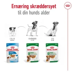 Royal Canin Mini Ageing i sauce