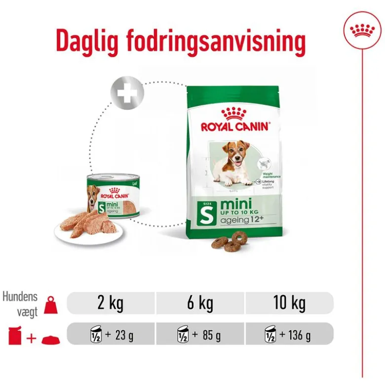 Royal Canin Mini Ageing Mousse
