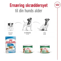 Royal Canin Mini Ageing Mousse