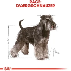 Royal Canin Miniature Schnauzer Adult