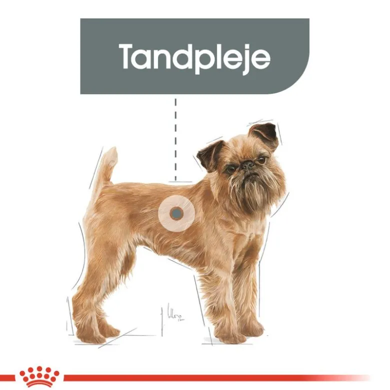 Royal Canin Mini Dental Care