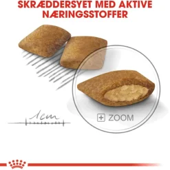 Royal Canin Mini Exigent