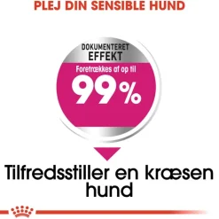 Royal Canin Mini Exigent