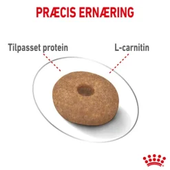 Royal Canin Mini Light Weight Care