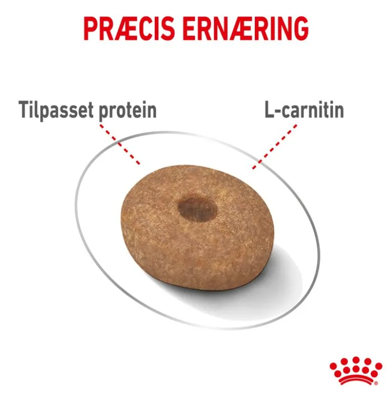 Royal Canin Mini Light Weight Care