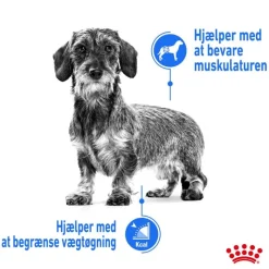 Royal Canin Mini Light Weight Care