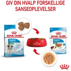 Royal Canin Mini Puppy i sauce
