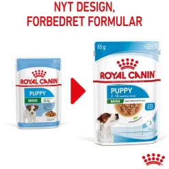 Royal Canin Mini Puppy i sauce