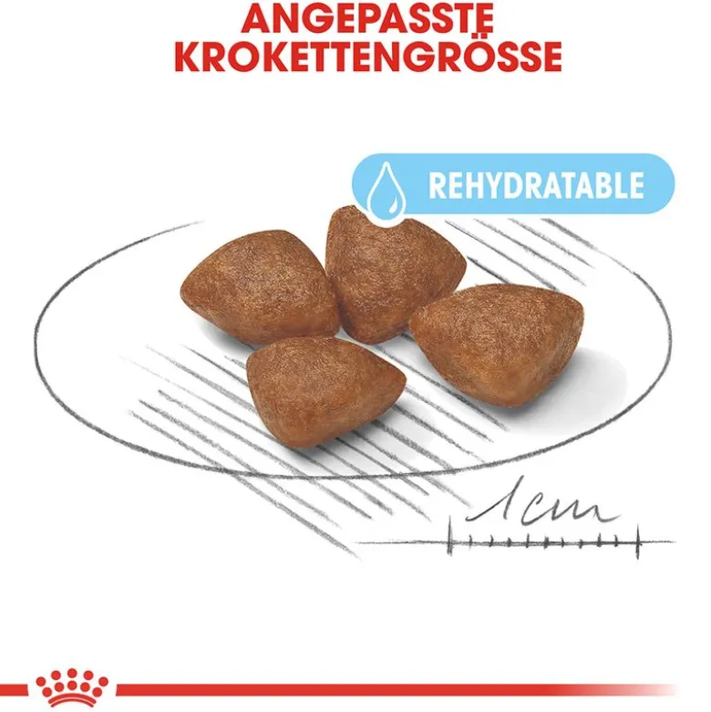 Royal Canin Mini Starter Mother & Babydog