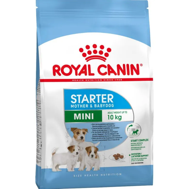 Royal Canin Mini Starter Mother & Babydog