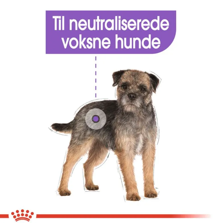 Royal Canin Mini Sterilised