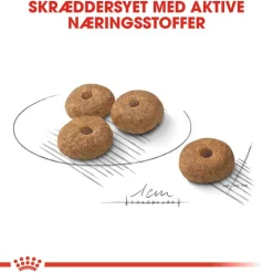 Royal Canin Mini Sterilised