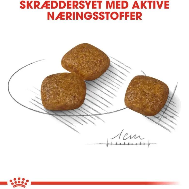 Royal Canin Mini Urinary Care