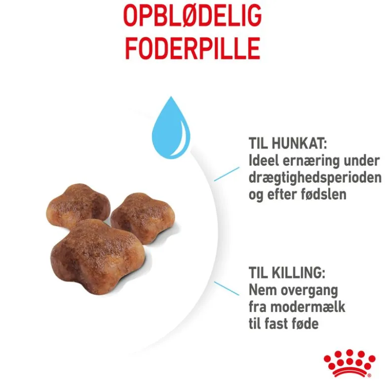 Royal Canin Mother & Babycat kattetørfoder