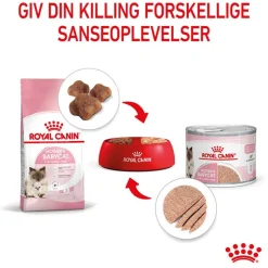 Royal Canin Mother & Babycat Ultra Soft Mousse