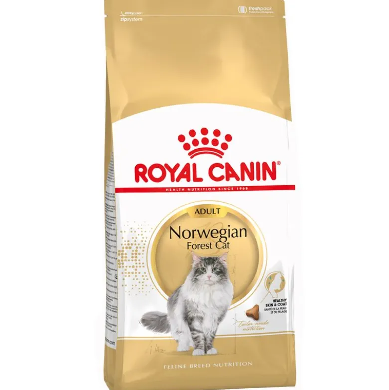 Royal Canin norsk skovkat Adult