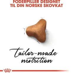 Royal Canin norsk skovkat Adult