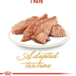 Royal Canin Persian Adult Mousse