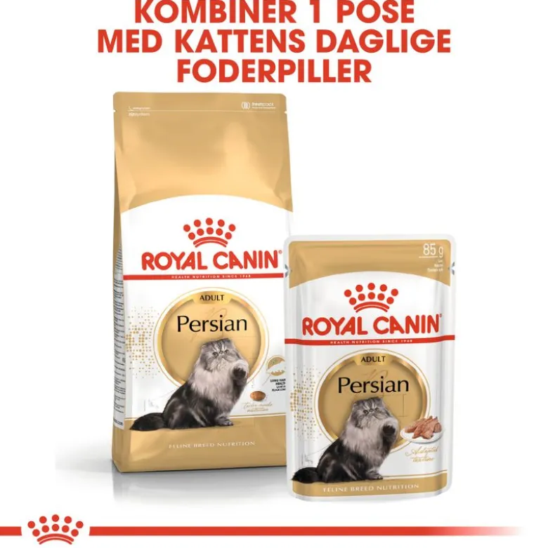 Royal Canin Persian Adult Mousse