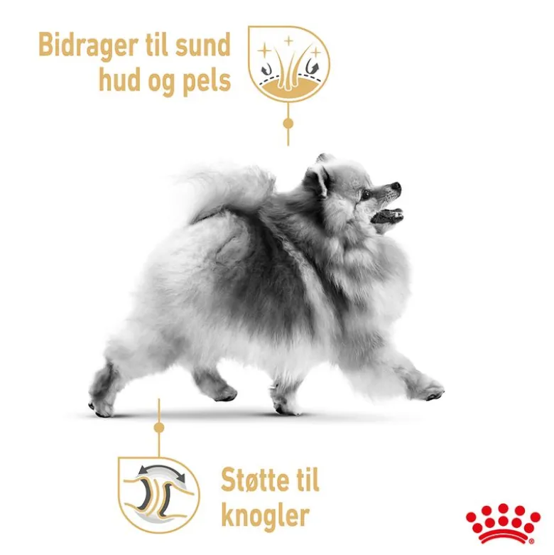 Royal Canin Pomeranian Adult
